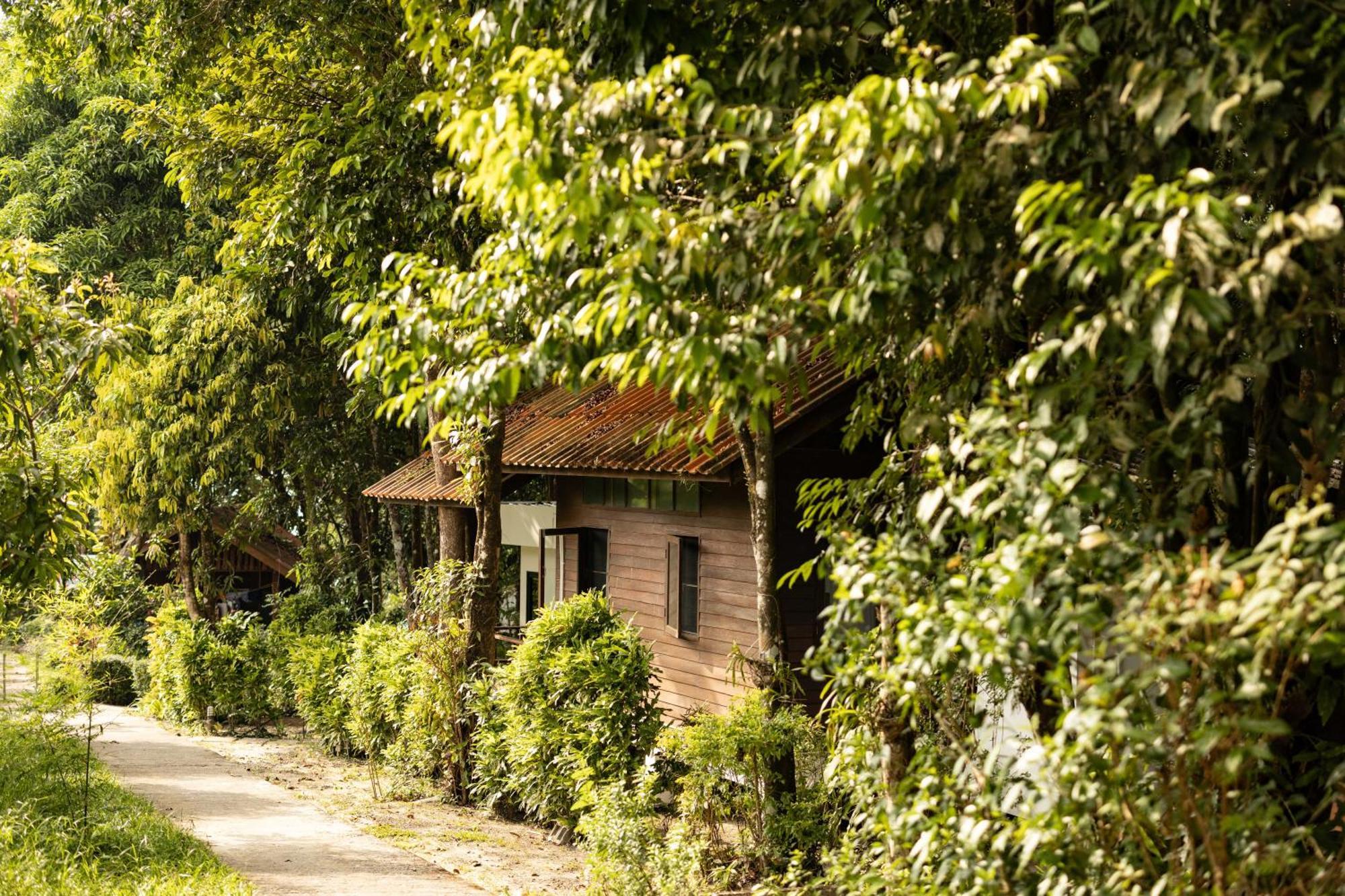 Barefoot Project Formerly Baan Klong Kleng Koh Phayam Esterno foto